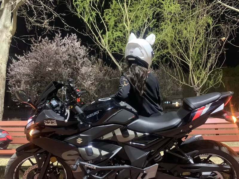 二手豪爵铃木GSX250R