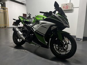 二手川崎Ninja 250