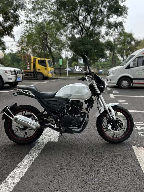 二手鑫源DM250 牧羊人