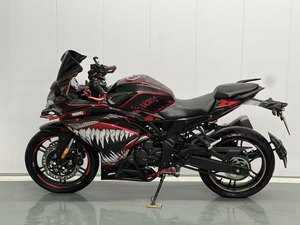 二手无极300RR