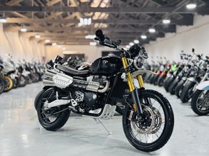 二手凯旋Scrambler 1200