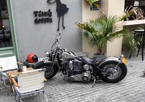 二手松散American Bobber