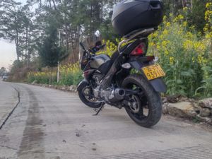 二手豪爵铃木骊驰 GW250