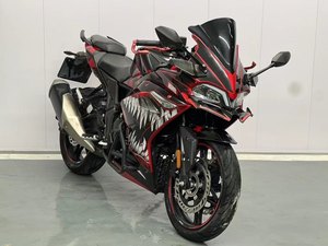 二手无极300RR