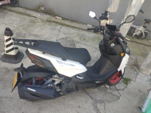 二手林海雄鹿 150