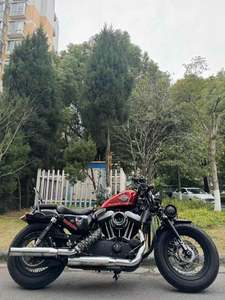 二手哈雷戴维森XL1200X Forty-Eight
