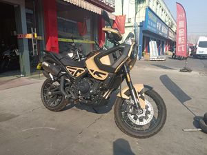 二手高金Storr500