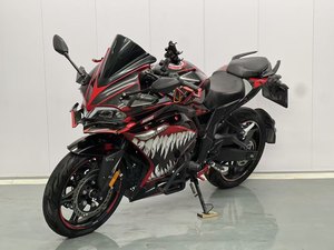 二手无极300RR