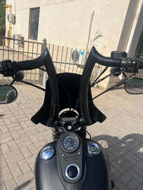 二手哈雷戴维森硬汉 lron 1200