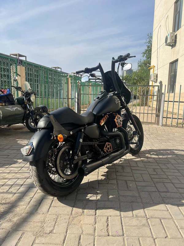 二手哈雷戴维森硬汉 lron 1200
