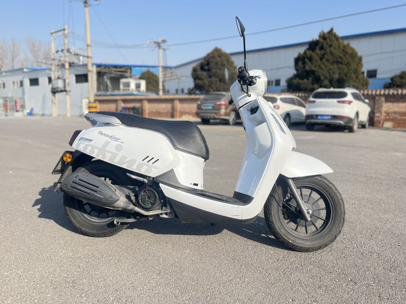 二手QJMOTOR菲诺125