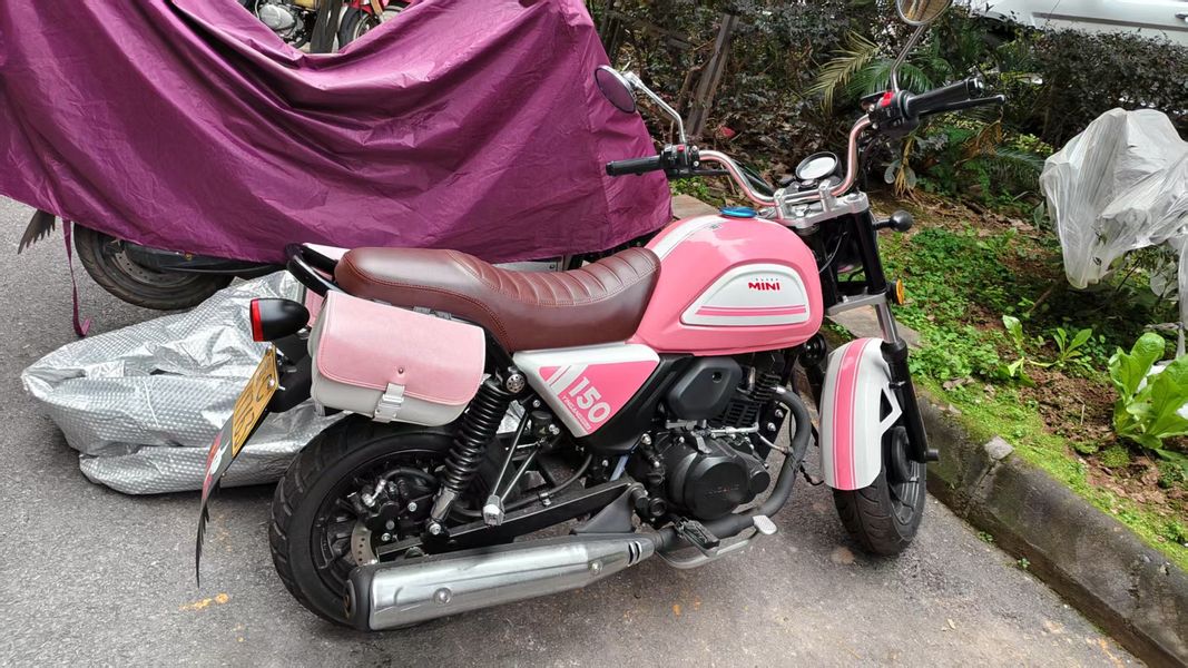 二手银钢Super Mini 150