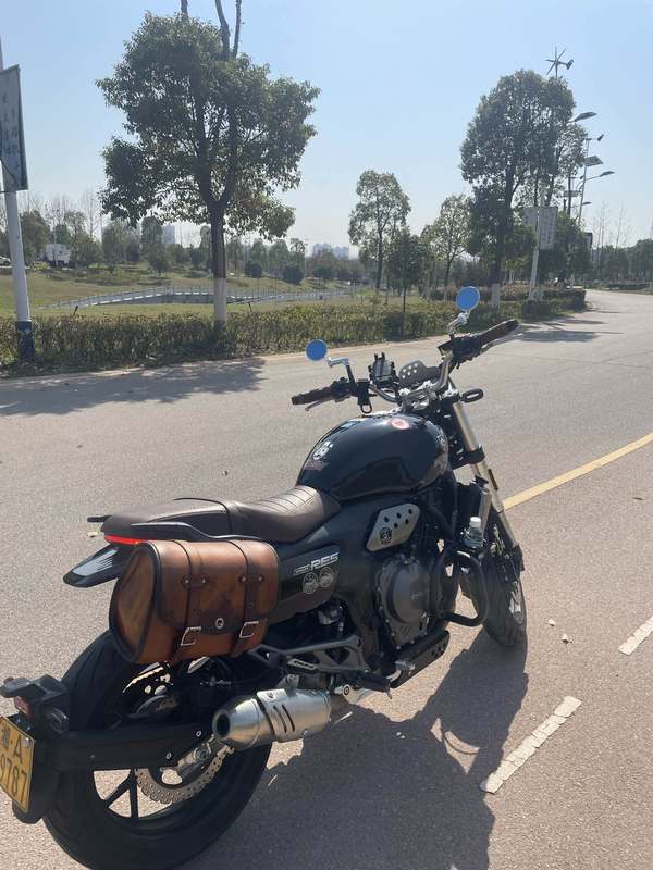 二手赛科龙RE600