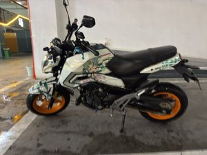 二手春风ST狒狒