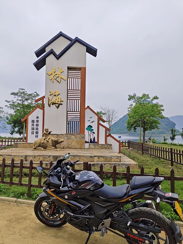 二手豪爵铃木GSX250R