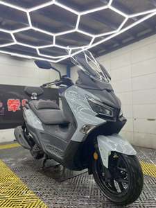 二手三阳Joymax Z 300