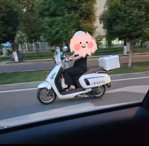 二手嘉鹏布加迪