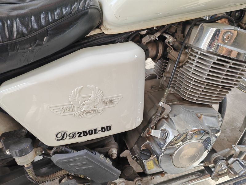 二手大地鹰王沙尘暴DD250E-5D