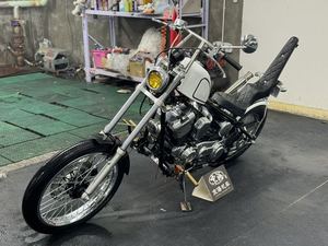 二手柴特Naja250 软尾版