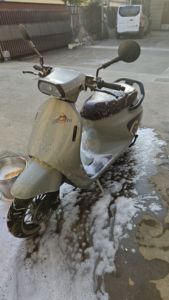 二手阿雷纳鸭嘴兽 Platypus