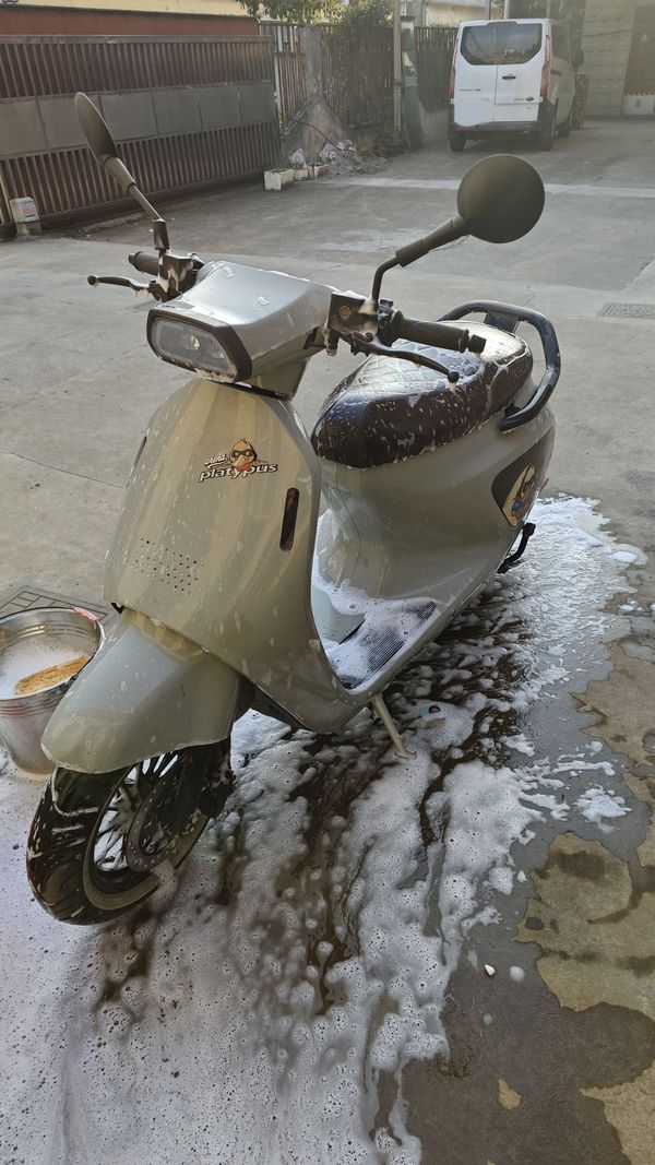 二手阿雷纳鸭嘴兽 Platypus