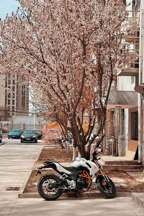 二手新大洲本田CBF190R