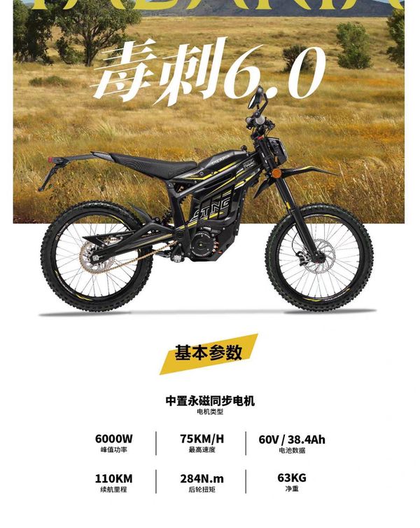 二手探骊毒刺