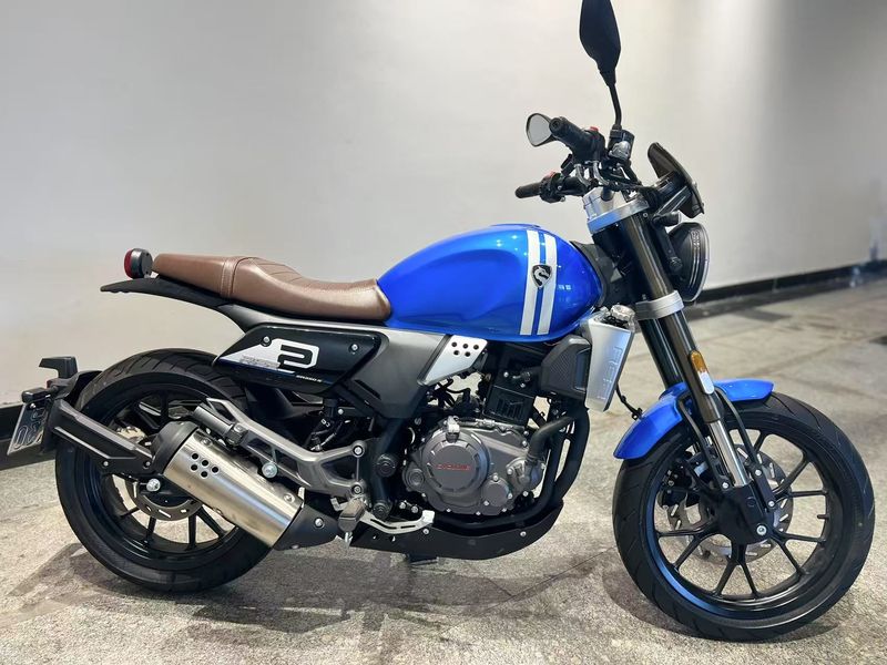 二手赛科龙RE250