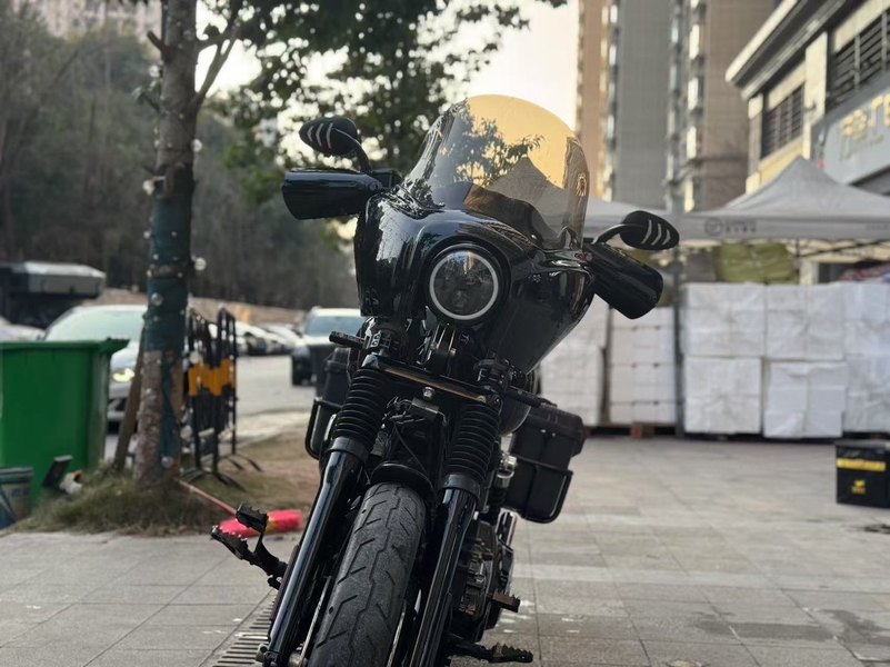 二手哈雷戴维森路威 Low Rider