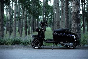 二手ROYAL ALLOYGP150(进口)