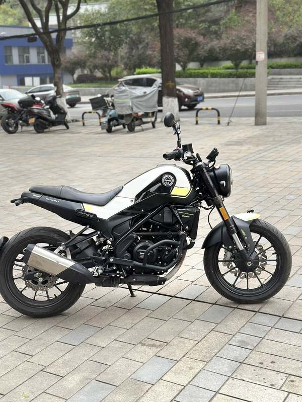 二手贝纳利幼狮 Leoncino 250