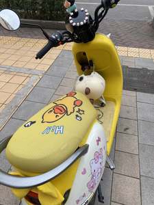 二手九号Q