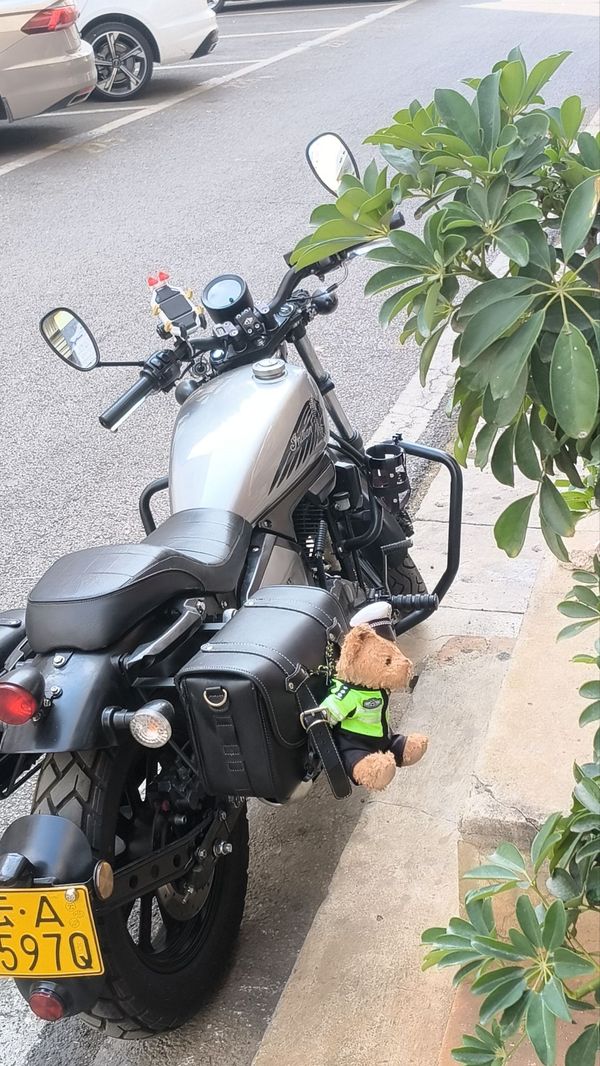 二手钱江凯威荣光 202