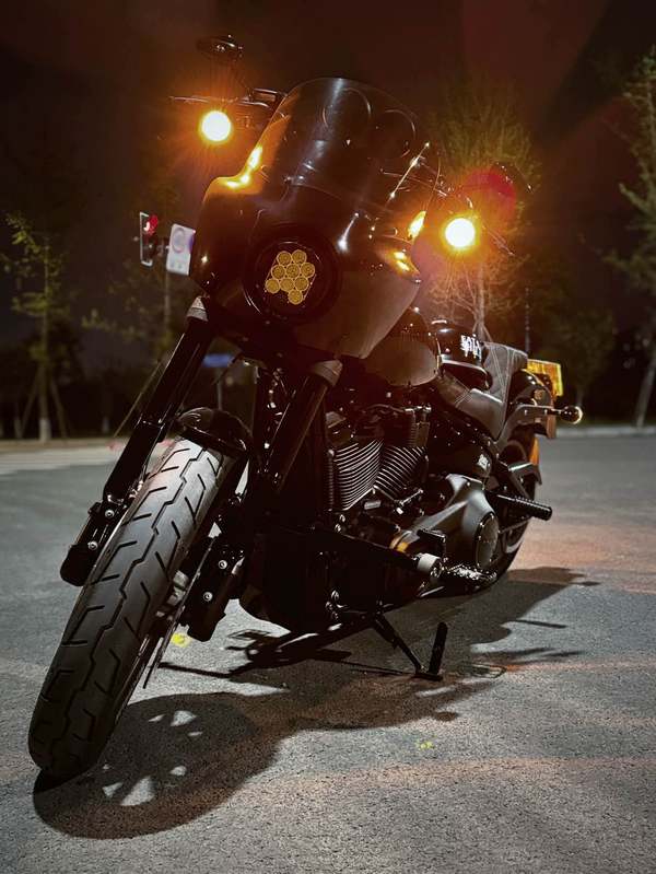 二手哈雷戴维森路威 Low Rider S