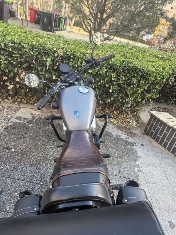 二手赛科龙RE250