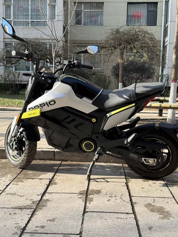二手春风Papio Nova