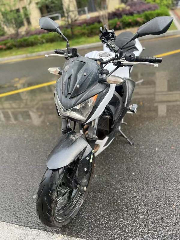 二手川崎Z 250