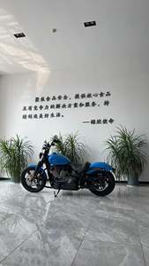 二手哈雷戴维森街霸 Street Bob