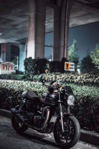 二手凯旋Speed Twin 1200