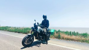 二手贝纳利幼狮 Leoncino 500