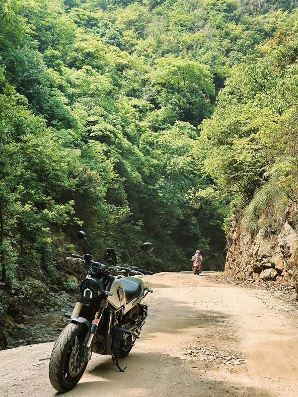 二手贝纳利幼狮 Leoncino 500