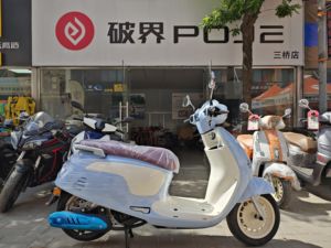 二手破界小河豚