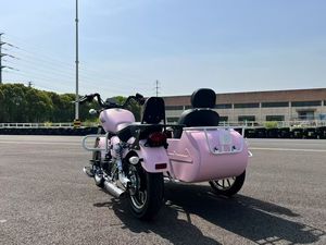 二手大地鹰王轻太子边三轮 DD150B