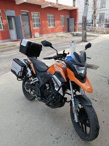 二手赛科龙RX1S