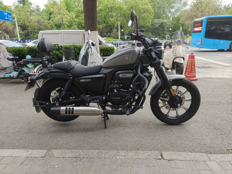 二手赛科龙RA250