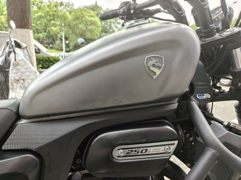 二手赛科龙RA250