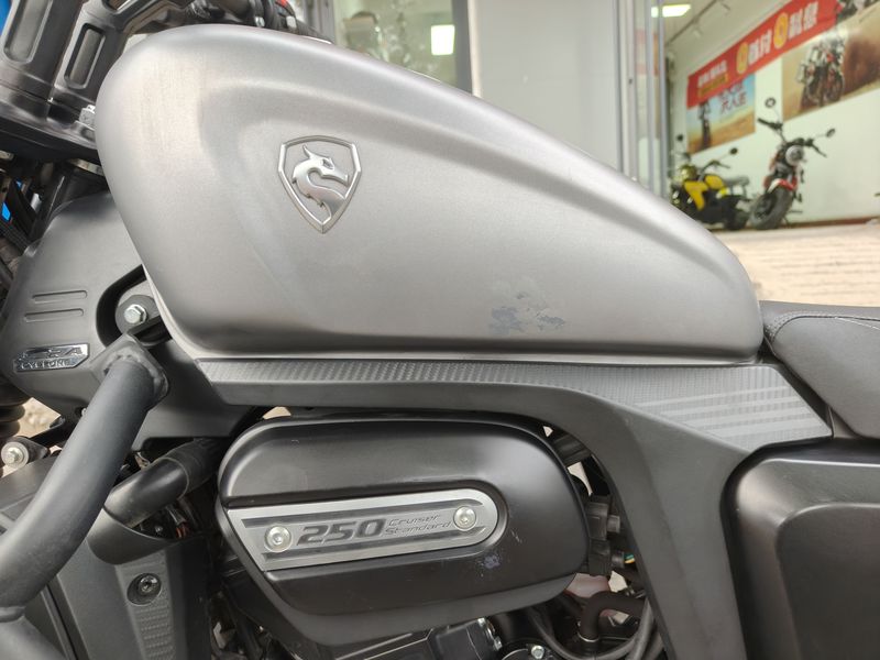 二手赛科龙RA250