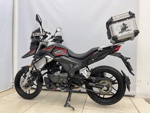 二手赛科龙RX1S