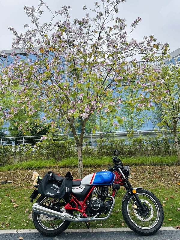 二手五羊本田CGX150