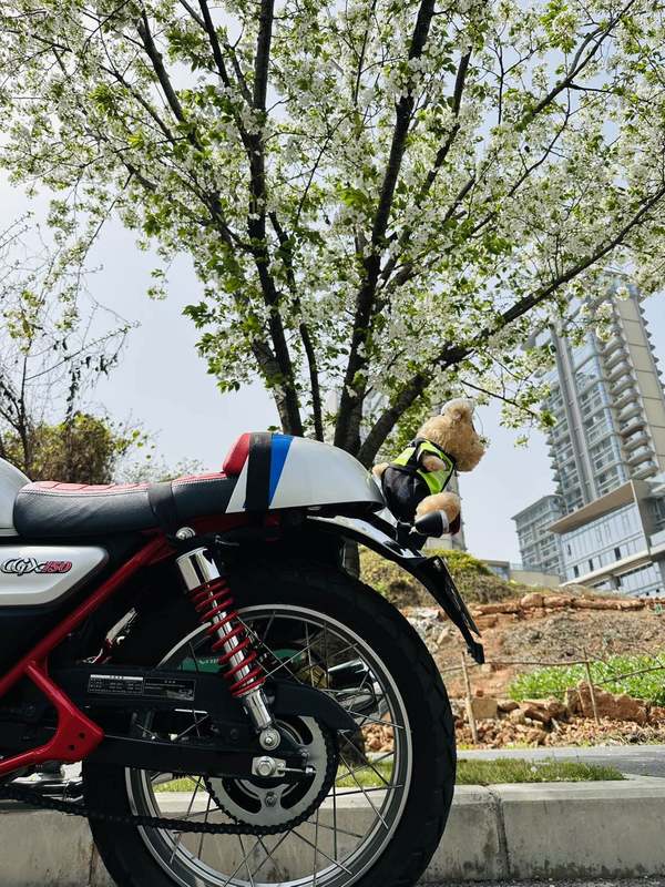 二手五羊本田CGX150